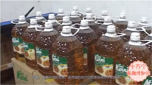 超市里面的食用油为什么那么便宜 用的原材料是健康卫生的吗